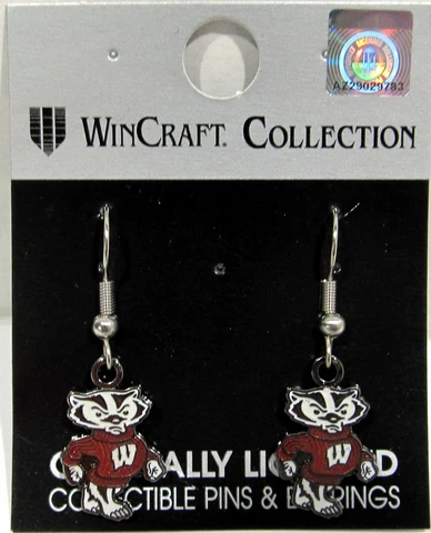 NCAA College University Wire Hook Earrings Pick Your Team Cover