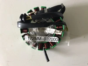 BUGGY STATOR MAGNETO GENERATOR QUADZILLA XRV 250cc 172MM CFMOTO ENGINE STATER - Picture 1 of 10