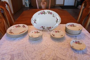 Royal Rose Vintage Fine China Dinnerware 29 Piece Grouping Elegant Rose Pattern - Picture 1 of 10