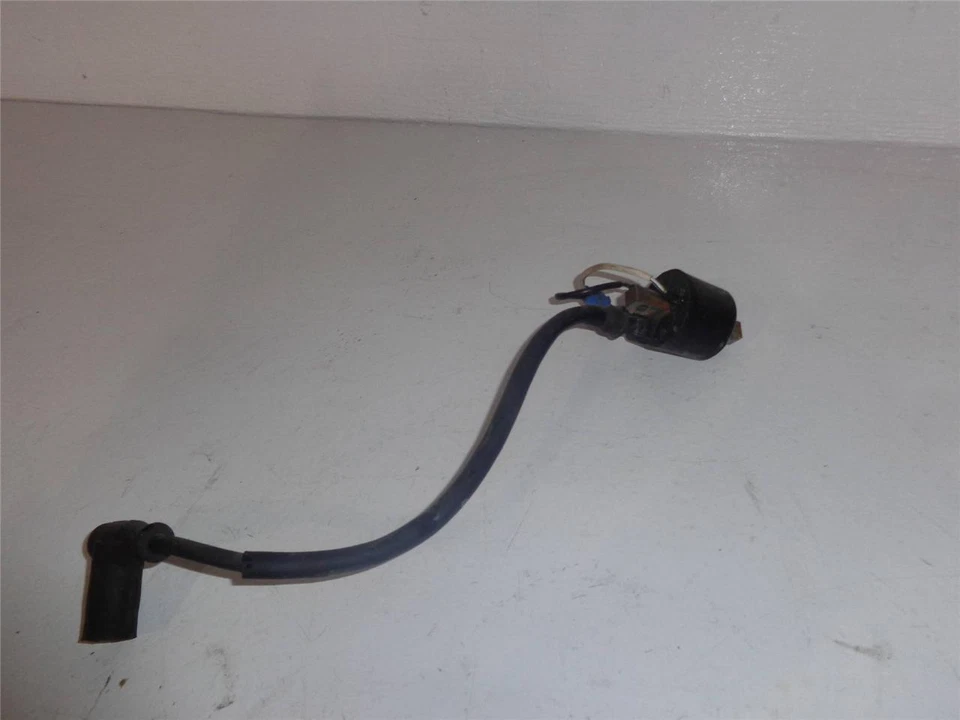 2010 Polaris Rush 600 Mag Ignition Coil Switchback RMK Assault Dragon Indy 800 - Изображение 1 из 1