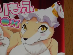 Derimofu DOUJINSHI Touhou Project KEMONO - Imagen 1 de 1