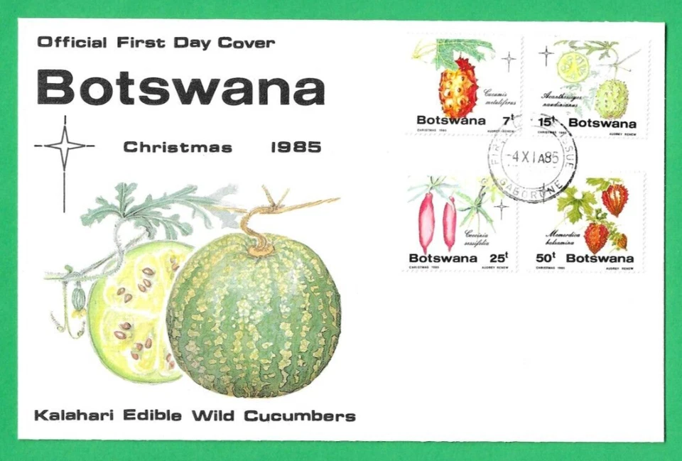 BOTSWANA ~ CHRISTMAS 1985 KALAHARI EDIBLE WILD CUCUMBERS ~ 4th NOVEMBER 1985 - Image 1 of 1