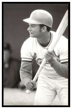 Matty Alou St. Louis Cardinals Vintage Baseball Postcard Rd4