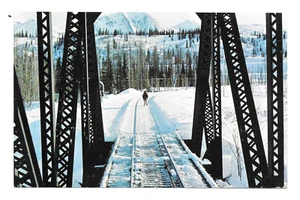 Vintage Moose On Alaska Railroad Bridge Honolulu Creek AK Postcard Unposted - Picture 1 of 2