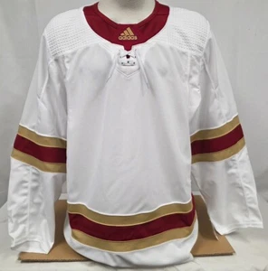 Brand New Men's adidas NCAA Denver Pioneers Hockey Blank Jersey - Size 56 - Picture 1 of 5