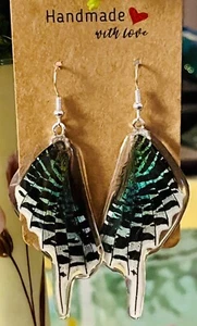 Urania leilus Genuine Metallic Butterfly Wing Earrings in Sterling Silver - Picture 1 of 6