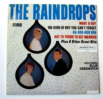 The Raindrops - Self Titled - EX Vinyl VG Cover 1985 Pop Murray Hill Reissue - Image 1 of 3