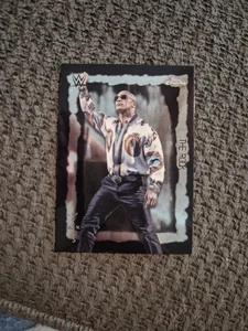 2025 Topps Chrome Cactus Jack WWE The Rock Festival Fury - Bild 1 von 3