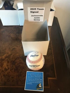 JACKSONVILLE JUMBO SHRIMP - 2025 Equipo Firmado/Auto ROMLB Béisbol con Certificado de Autenticidad - Imagen 1 de 5