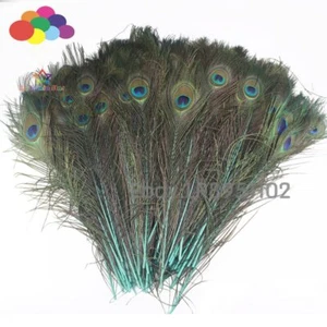 New 100 PCS Mint Peacock Feather 40-45 cm DIY Clothing Decoration Plumage Crafts - Picture 1 of 6