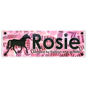 Pink Couture Design personalised Horse Name Plaque/ sign / nameplate lovely gift - Picture 1 of 10