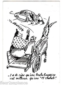 Carte Postale humour Catinou e Jacouti Charles Mouly Langue d'Oc - Picture 1 of 1