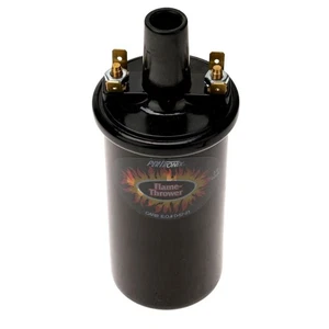 Bobina de encendido refrigerada por aire VW 1968-1979 12 V 3 ohmios epoxi 40 k voltios lanzallamas negro - Imagen 1 de 5