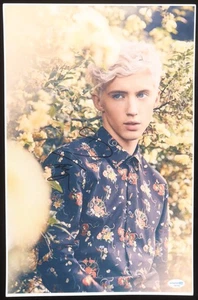 Troye Sivan Signed 11x17 Photo (ACOA) - Musician/ Actor - Bild 1 von 2