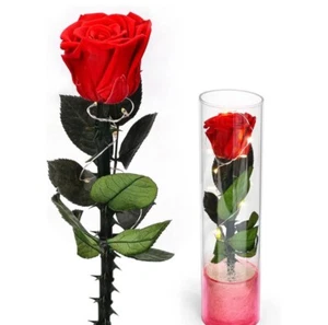 Rose Gifts For Women Flowers Rose In Plastics LED Light Up Wedding Party Decor - Picture 1 of 6