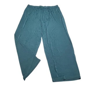 Slinky Brand Womens Dressy Trendy Pull On Everyday Pants 3X Plus Size Teal - Picture 1 of 6