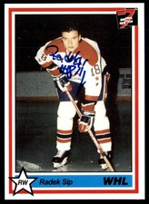 1990-91 7th Inning Sketch WHL Radek Sip Lethbridge Hurricanes #141 NO COA