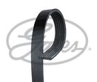 GATES Micro-V Drive Belt for Citroen C5 1749cc 1.8 March 2001 to March 2004