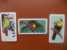 Brooke Bond Canada "Tropical Birds" 1964 original teacards Nos26-28 of 48cv£2.25