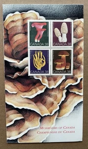 Canada 1991 Presentation Pack – Mushrooms of Canada 38¢ Stamps (Scott 1307a) - Picture 1 of 5
