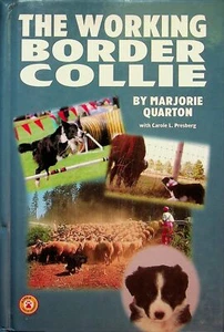 The Working Border Collie - Picture 1 of 1