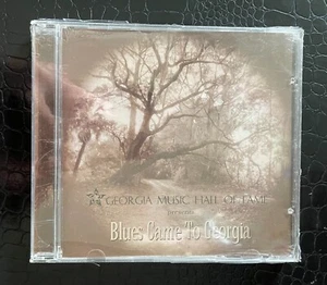 Georgia Music Hall Of Fame BLUES CAME TO GEORGIA Neal Pattman Cootie Stark NEW - Picture 1 of 2