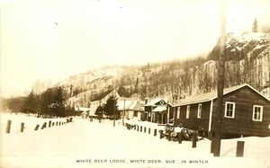 WHITE DEER LODGE, LOT OF 3 RPPC, QUEBEC, CANADA, VINTAGE POSTCARDS - Bild 1 von 6