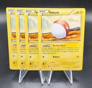4x Voltorb 44/146 Pokemon XY Base Common Playset NM-MT - Picture 1 of 1