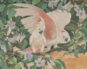 Par de cacatúas Jessie Arms Botke impresión en lienzo 16 x 20 - Imagen 1 de 4