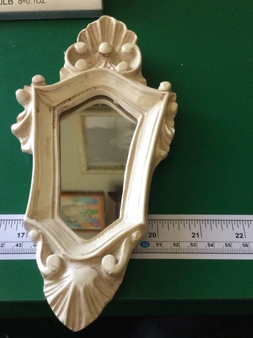 ornate framed mirror Cover