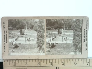 Fontana d'acqua Waterloo Ontario Public Park Grounds Stereoview in Canada - Foto 1 di 2