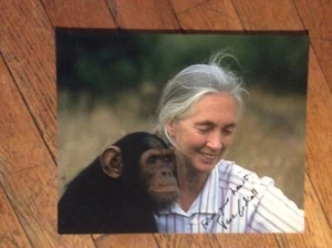 JANE GOODALL 8-10 FOTO SIGNIERT GARANTIERT AUTHENTISCH.  - Bild 1 von 1