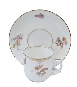 Rare Limoge France Bawo & Dotter Multicolored Roses Demitasse Cup & Saucer 1896 - Picture 1 of 21