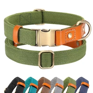 Small Green Durable Dog Collar Adjustable Metal Buckle Pet Collar for All Dogs - Picture 1 of 8