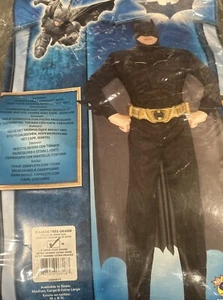 Rubie's - Batman The Dark Knight Rises Muscle Chest Deluxe Adult Costume - Picture 1 of 3