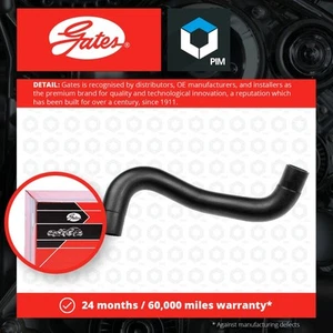 Radiator Hose fits NISSAN JUKE F15 1.6 Lower 2011 HR16DE Manual Transmission New - Picture 1 of 2
