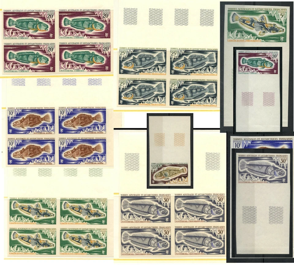 FRANCE ANTARCTIC TAAF 1971 Fish IMPERFORATE MARGINAL Mint UM Priced Individually - Image 1 of 1