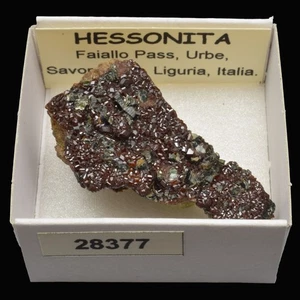 HESSONITA (Faiallo Pass, Urbe, Savona pro., Liguria, Italia) #28377 / HESSONITE - Picture 1 of 1