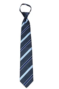 Men's Stripe Classic Pretied Zipper Necktie Formal Weddings Business Prom - Picture 1 of 3