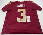 DERWIN JAMES FLORIDA STATE SIGNED AUTOGRAPHED CUSTOM MAROONE JERSEY JSA COA