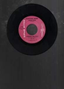 Rev. Oris Mays 45RPM 7" Single PROMO Jordan River Songbird 1108 091922EBR-B99 - Imagen 1 de 2