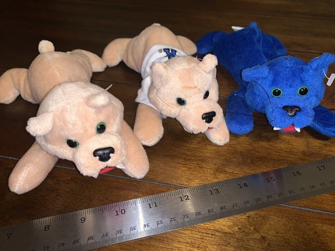 Kentucky Wildcats Beanie Mascots Vintage Cover
