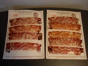 9- Vintage Water Wave Combs Flapper Hair Wavers Celluloid 1920's (Store Display) - Picture 1 of 6
