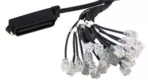 RJ21 MALE RJ21 HYDRA Amphenol Cat3 Telco Breakout Cable to 24 RJ11 3m - Picture 1 of 1
