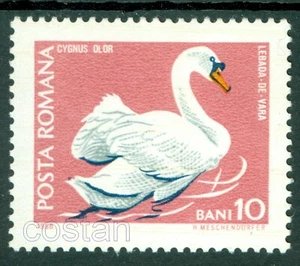 1968 Swan/Cygnus olor,Höckerschwan,Protected birds,Romania,2724,MNH - Picture 1 of 1