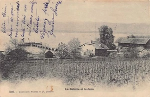 Suisse - COLOGNY (GE) La Belotte et le Jura - Ed. Charnaux 5223 - Picture 1 of 2