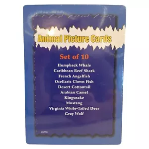 10 Animal Picture Cards Set Educational Wildlife Learning Resources Science New - Picture 1 of 4