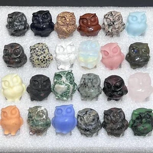 Mixed Gemstone Owl Carving Collection ( 24 Pcs ) Wholesale Assorted Flat Box - Picture 1 of 4