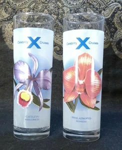 CELEBRITY CRUISES mattierte Cocktail Gläser Blumen Rezepte 2er Set Vintage - Bild 1 von 11