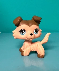Littlest Pet Shop RARO LPS #893 Figura Bronceado Collie Perro Cachorro Lágrima Ojos Nuevo - Imagen 1 de 1